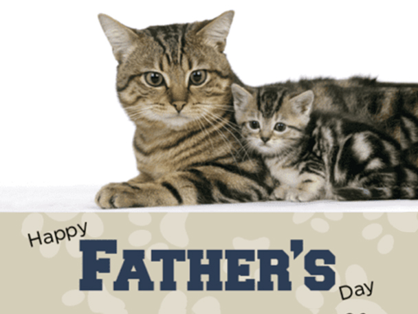 digital card with photo of cats, card says "Happy Father's Day"