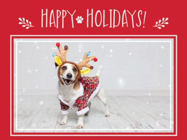 digital card with photo of dog with antlers, card says "Happy Holidays"