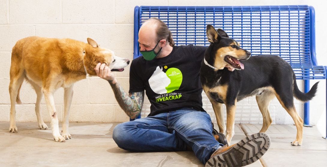 Foster Hero pets dogs by a bench