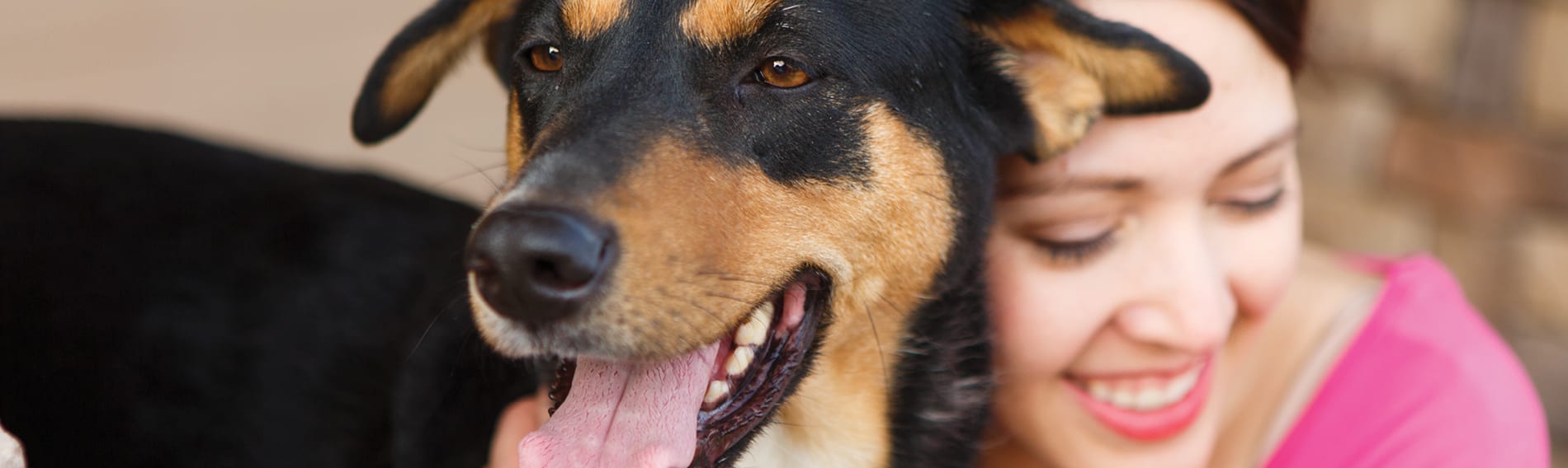 a woman hugs a black and brown dog