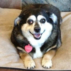 Chiquita is on a weight loss mission with daily swims.