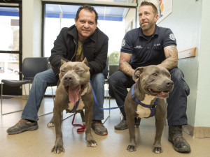 Cleo524903 Levi524902 (12)