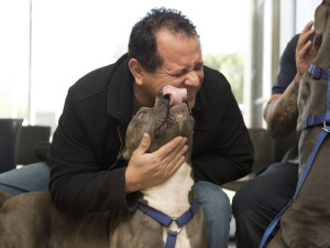 Microchip Reunites Dogs
