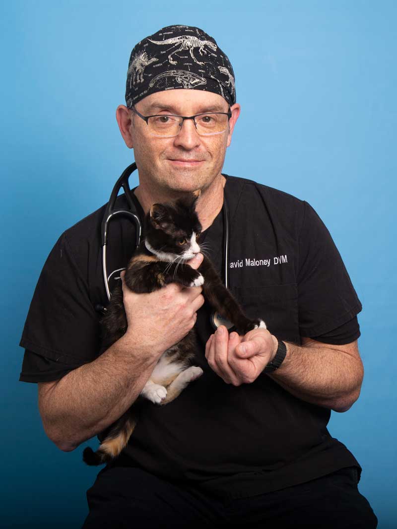 Image of David Maloney DVM