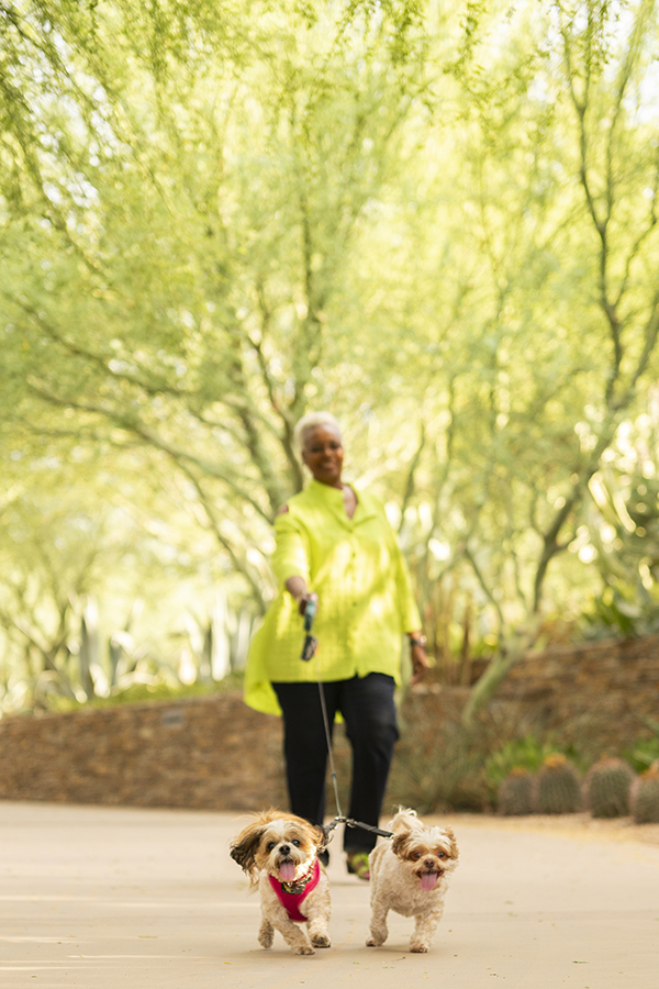 woman walking two dogs