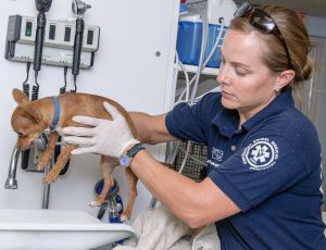 Arizona Humane Society EAMT