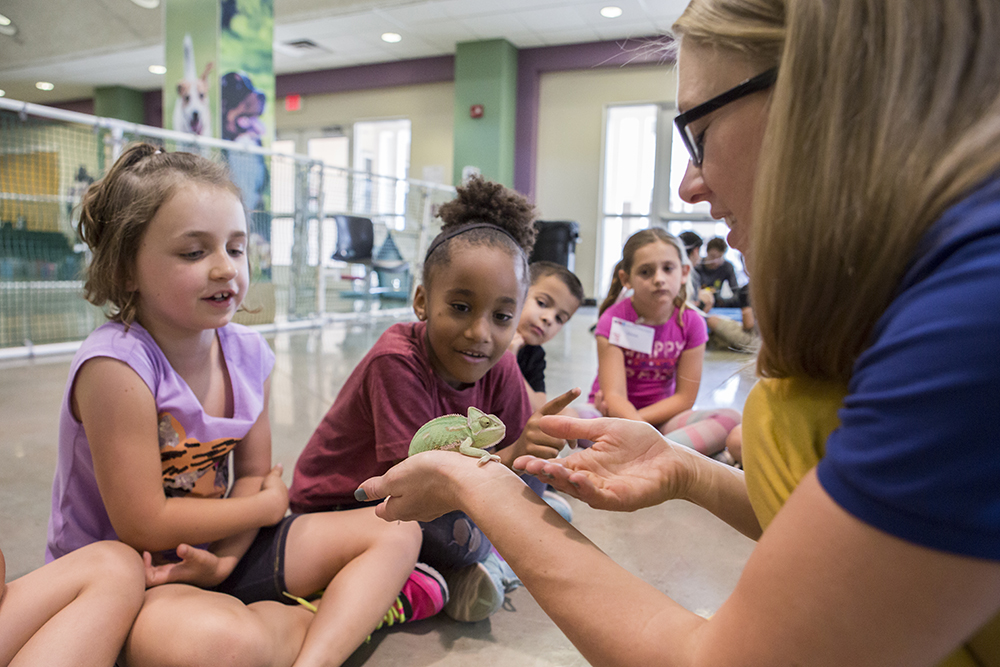 Field Trip with young kids