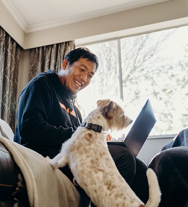 a man sits on the couch. dog looks at a dog looking up at him.