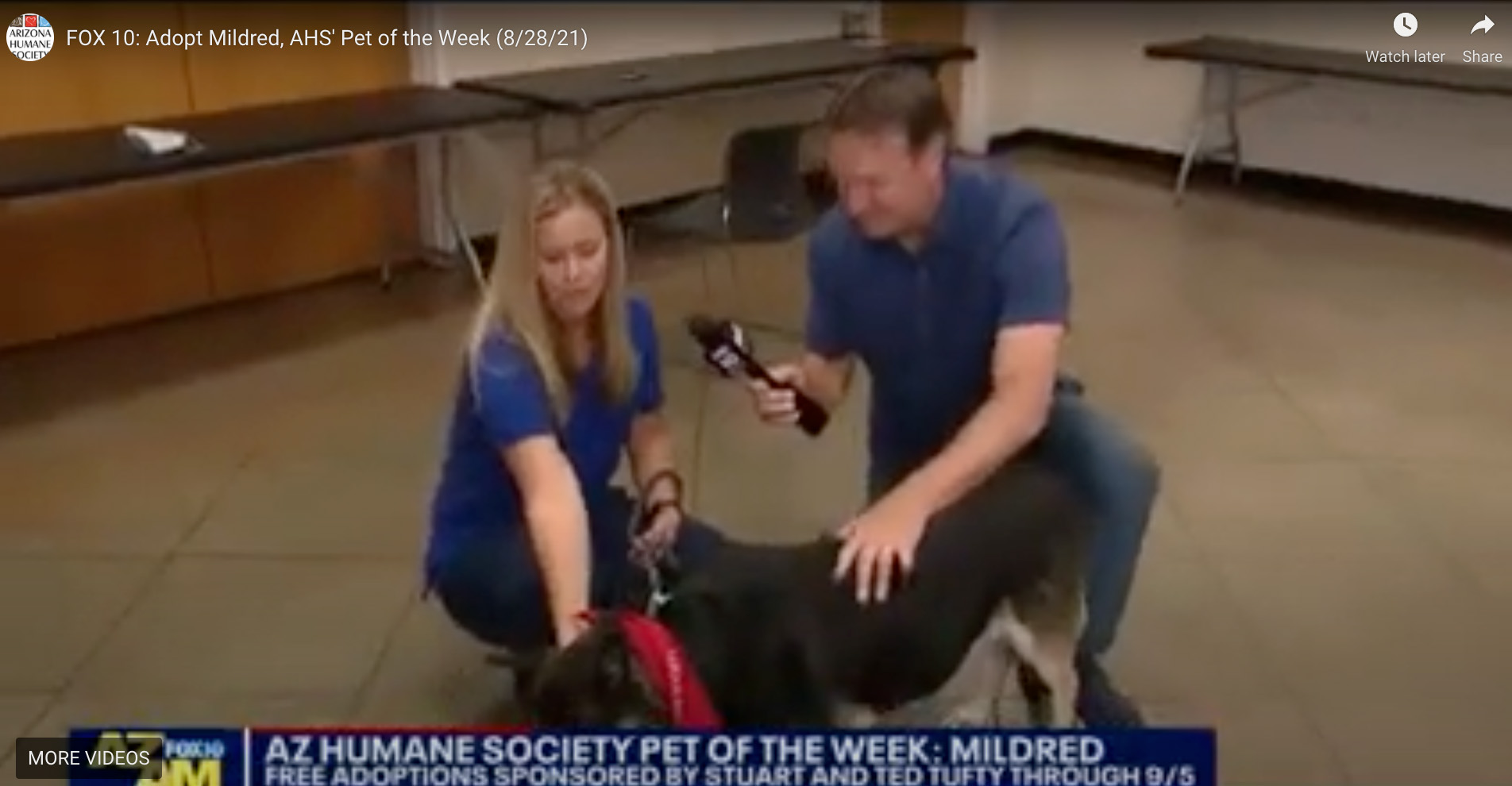 news anchor interviewing