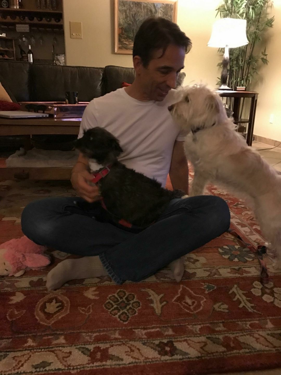 ceo fosters pregnant dog