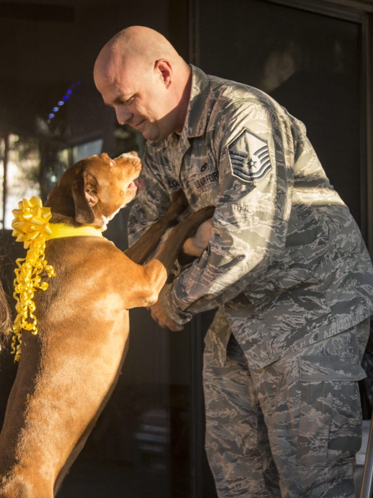 Active Duty Reunited