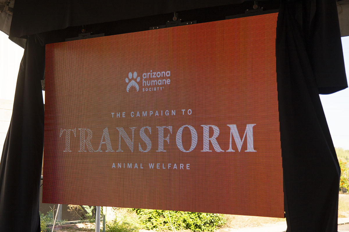 The Campaign to Transform banner