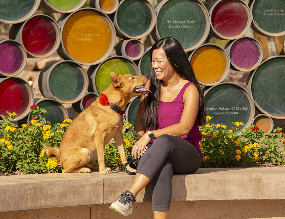 woman on bench with dog