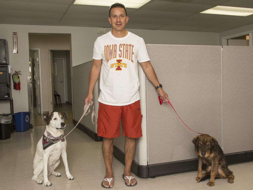 Dog Rescued from Phoenix Canal