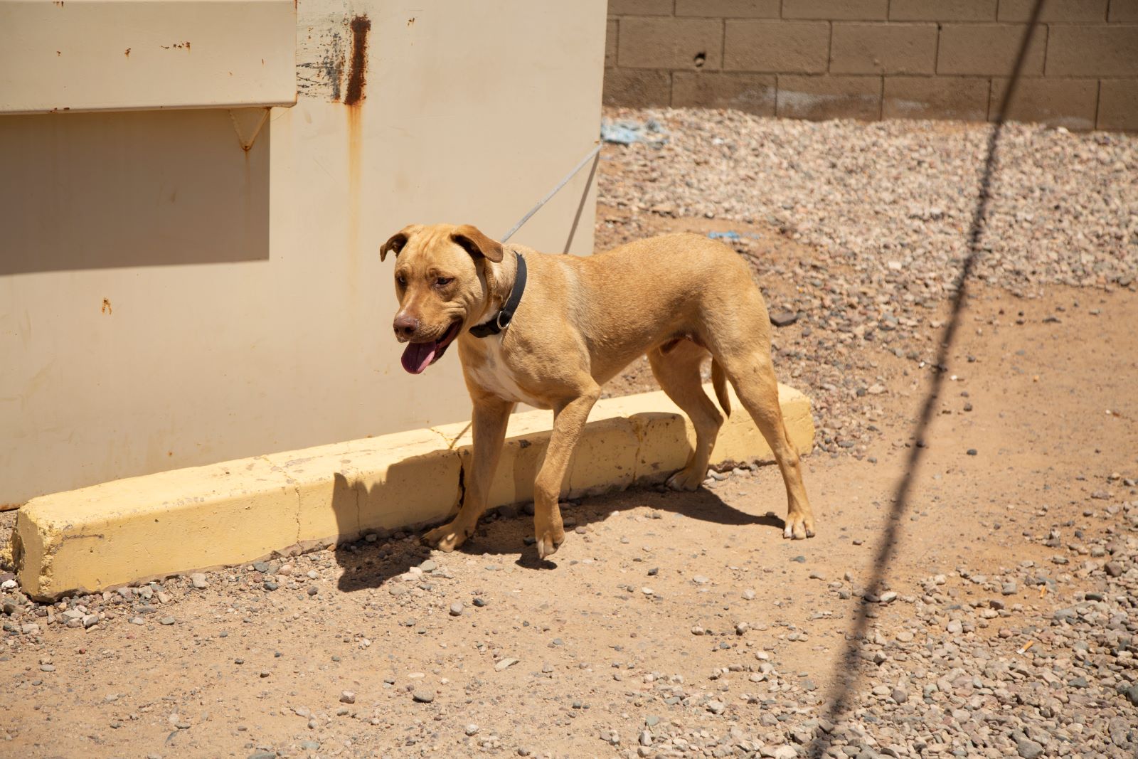 dangers of tethering