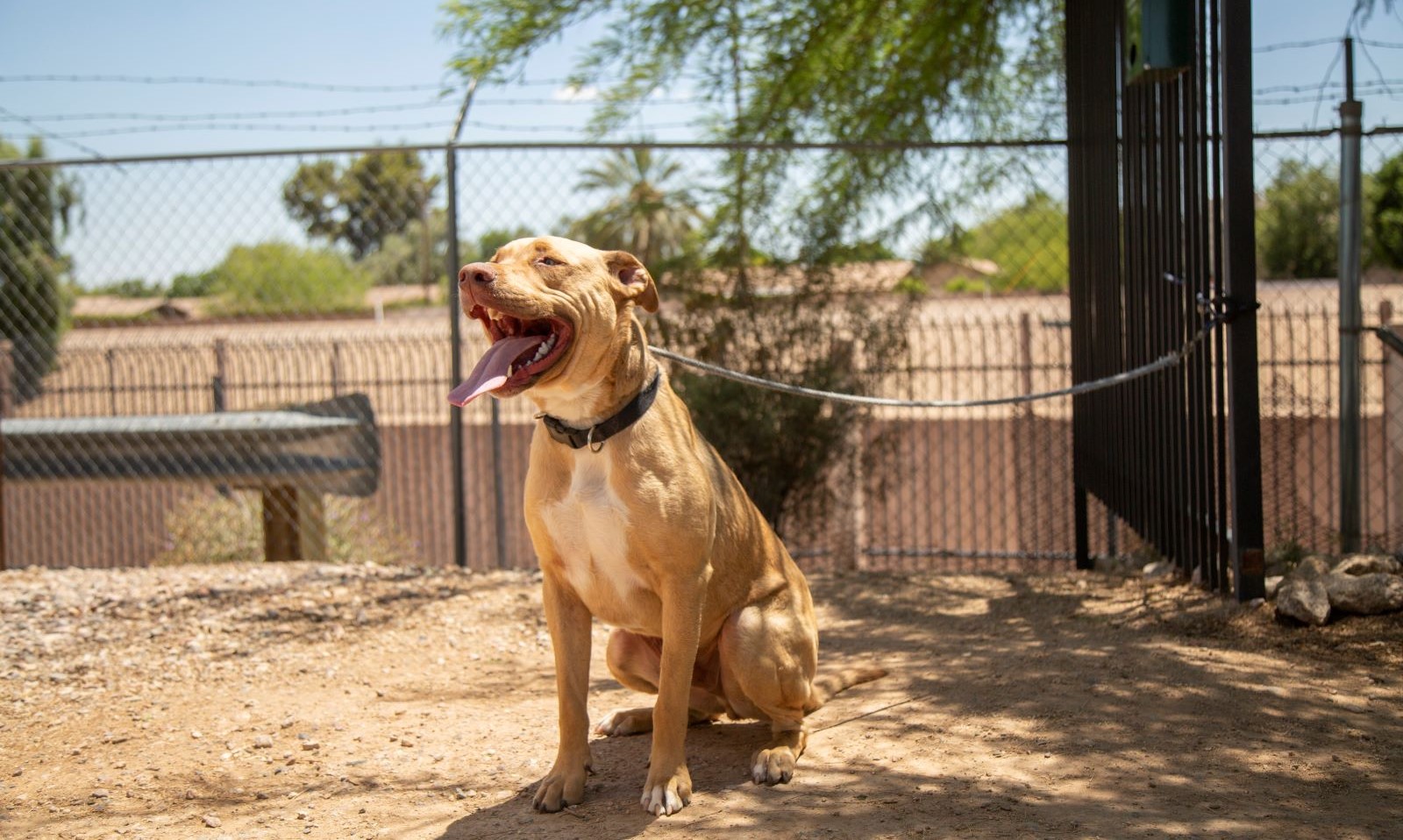 The dangers of tethering