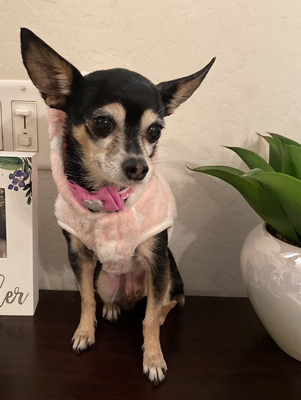 Air Conditioner Install