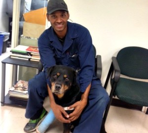 Homeward-Bound-Pet-Story