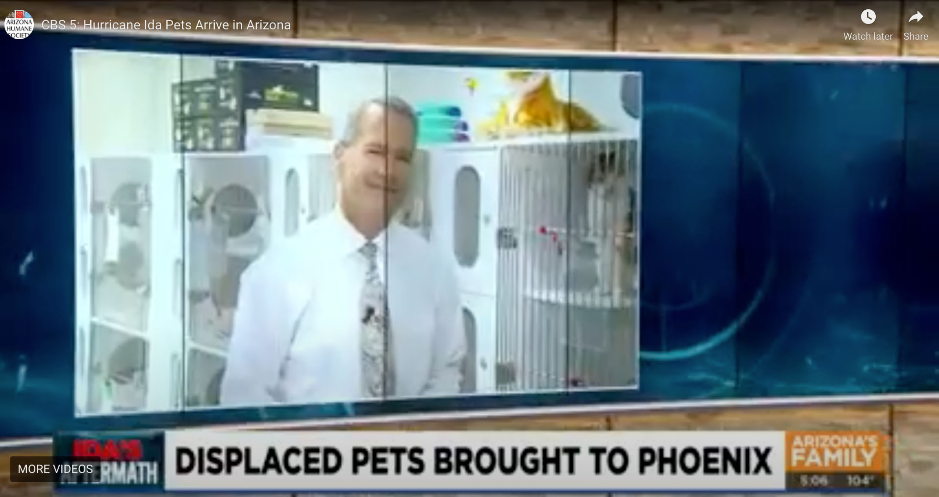 Newsperson in shelter