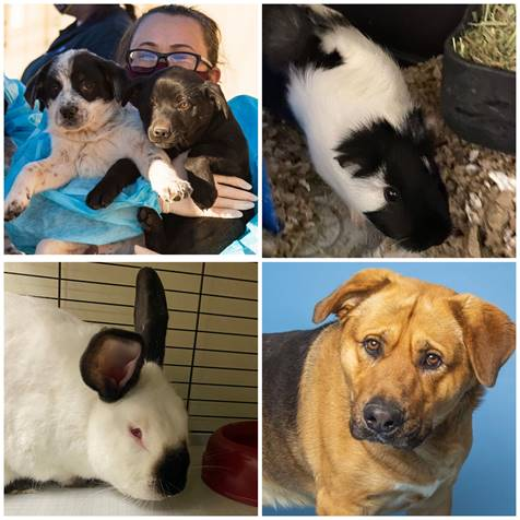 Project Reachout - Navajo Nation