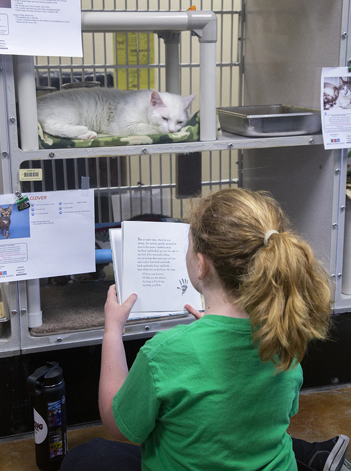 child reading to cat