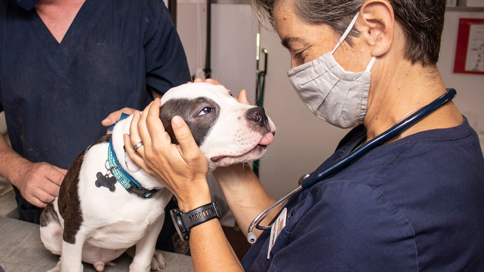 Dr. Thompson with puppy