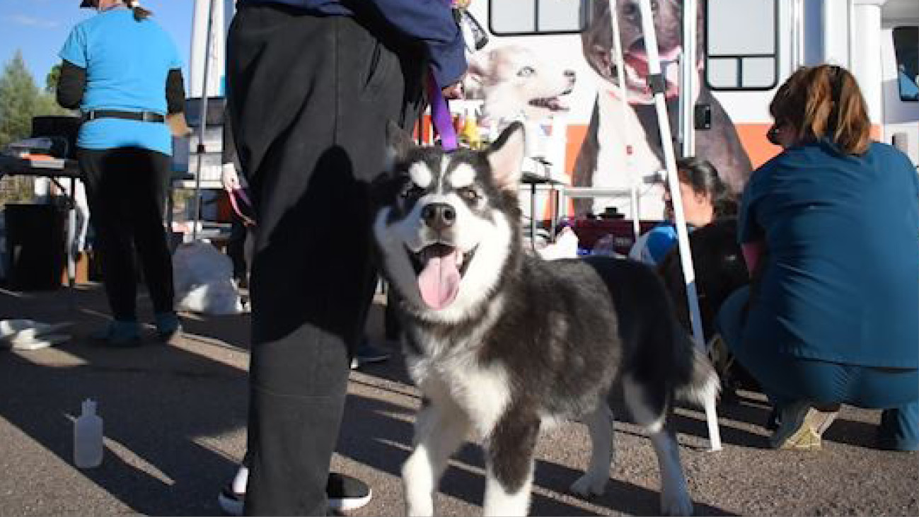 Bo from San Carlos Apache Indian Reservation