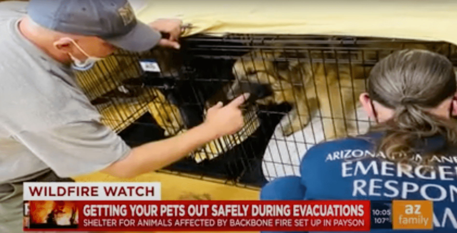 a man pets a dog in a kennel