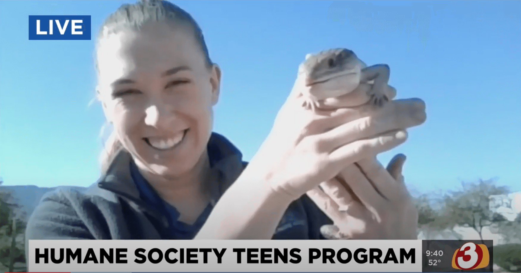 a woman folds a lizard on the news