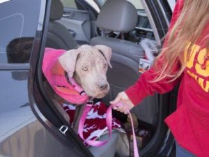 Arizona Humane Society