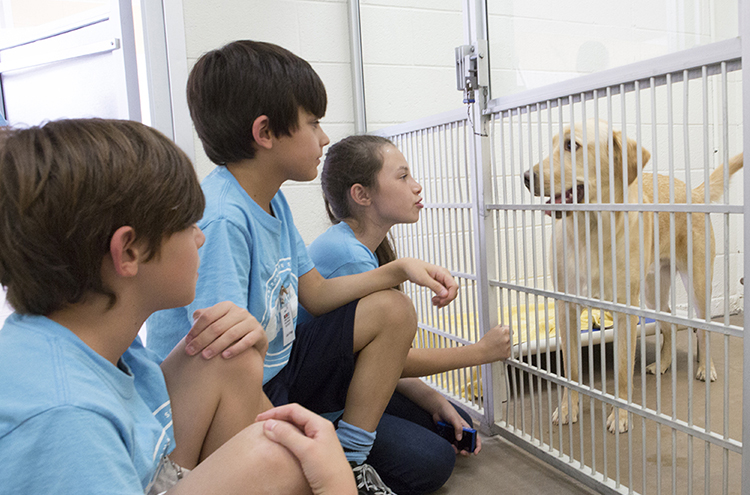 three kids and a dog