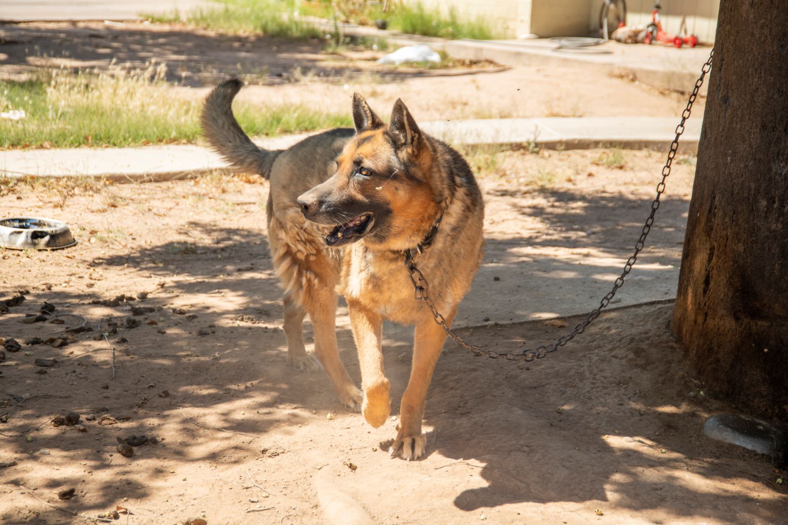 dangers of tethering