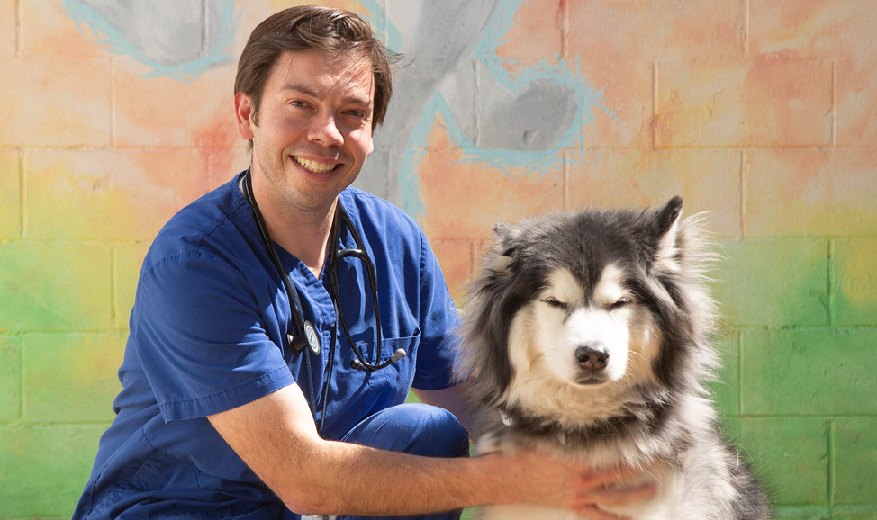 Veterinarian with dog