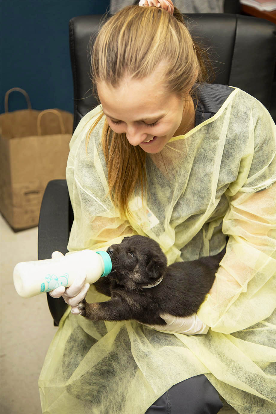 a tiny puppy is bottle-fed by an AHS vet