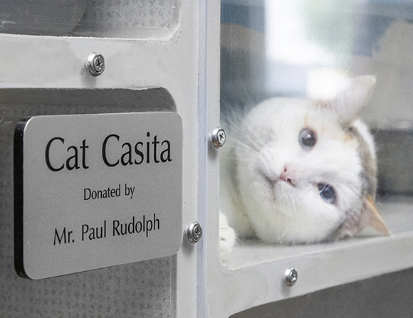 Image of Adopt-a-Kennel