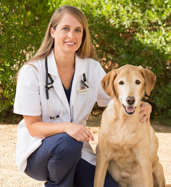 Image of Katherine Daigle, DVM