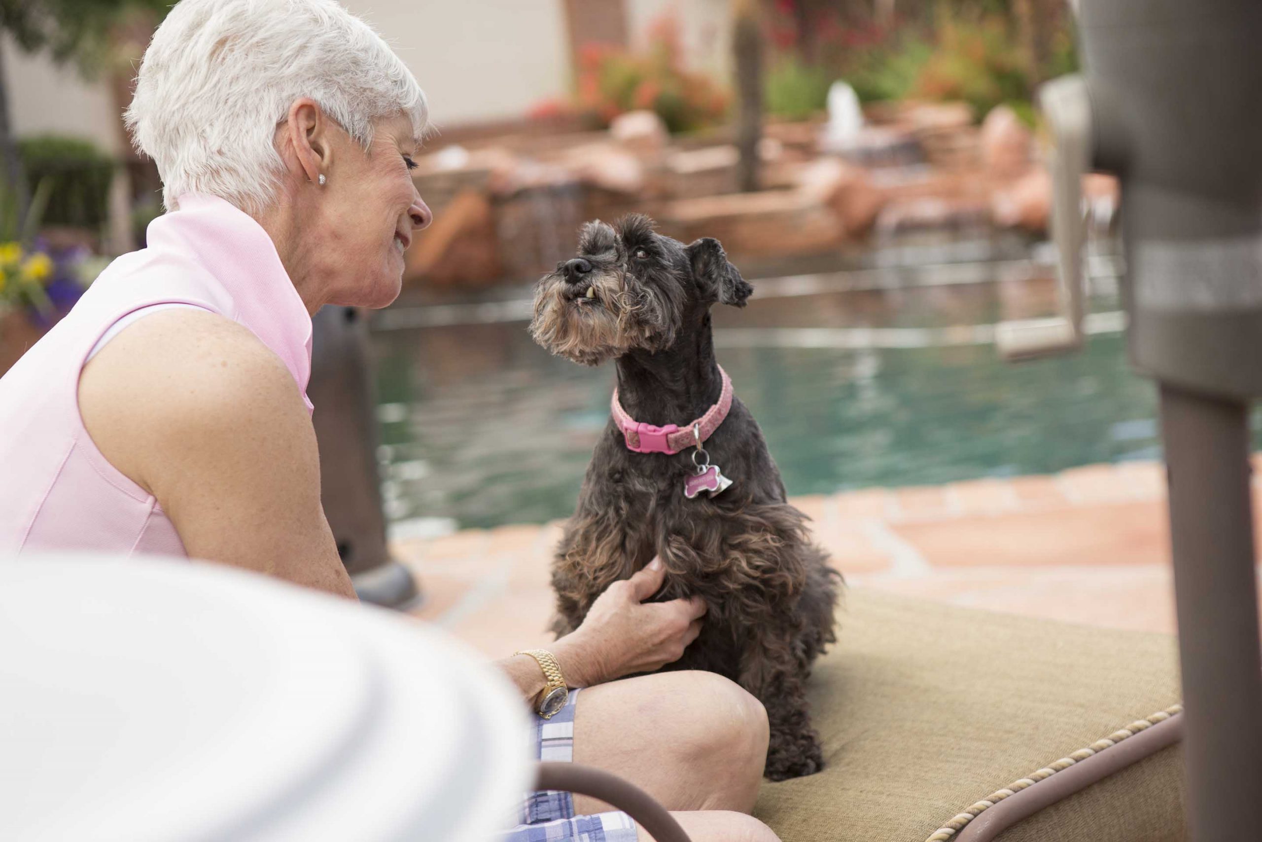black dog with curly hair