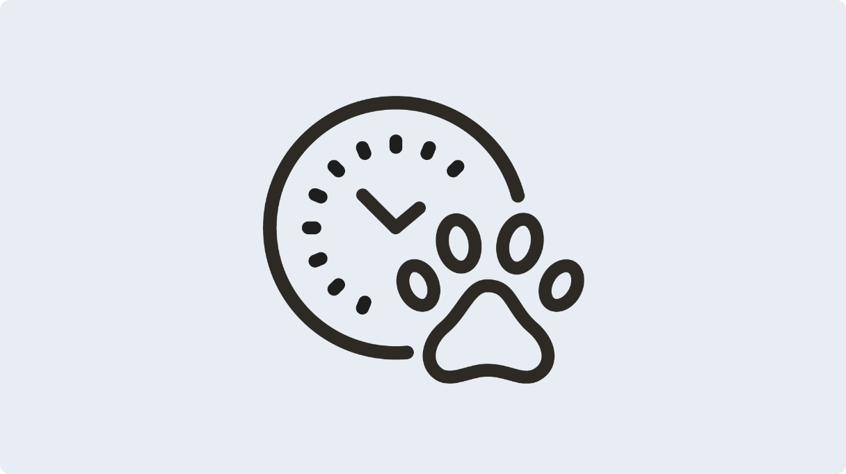 paw time icon