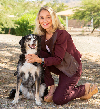 Image of Suzanne Hensing, Board Member