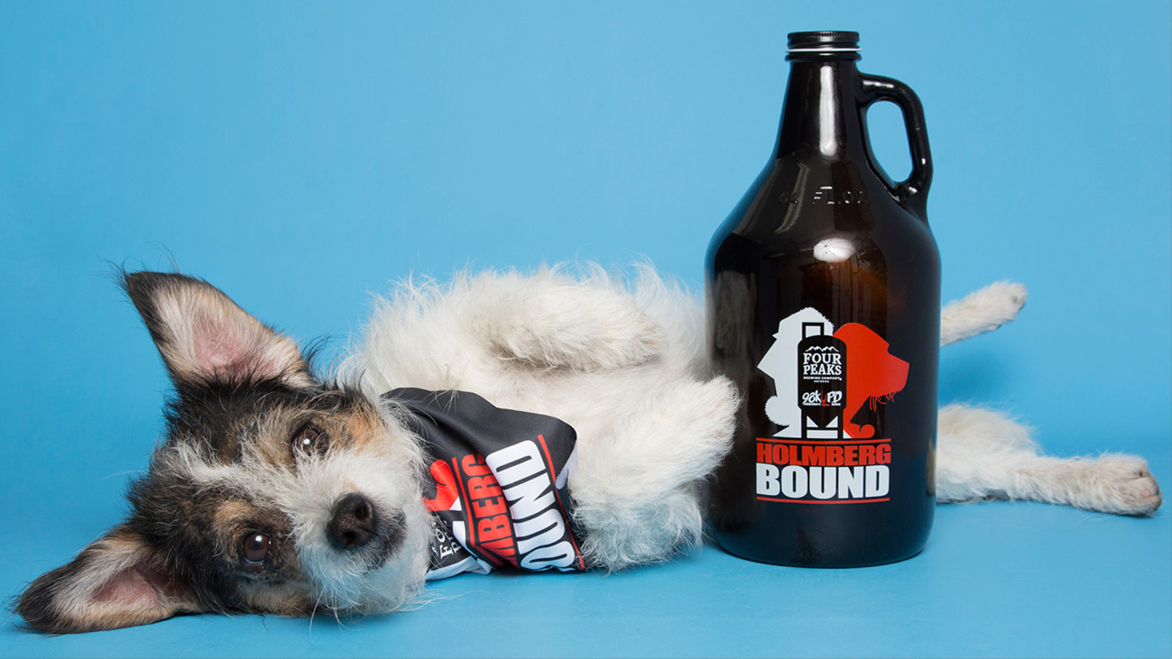 Holmberg Bound Fundraiser for AHS Dogs