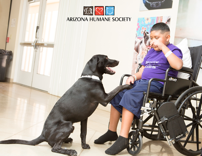 Lucky Shows the Power of Pets