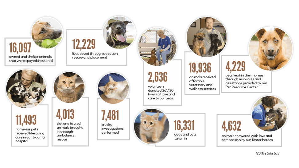 chart of statistics