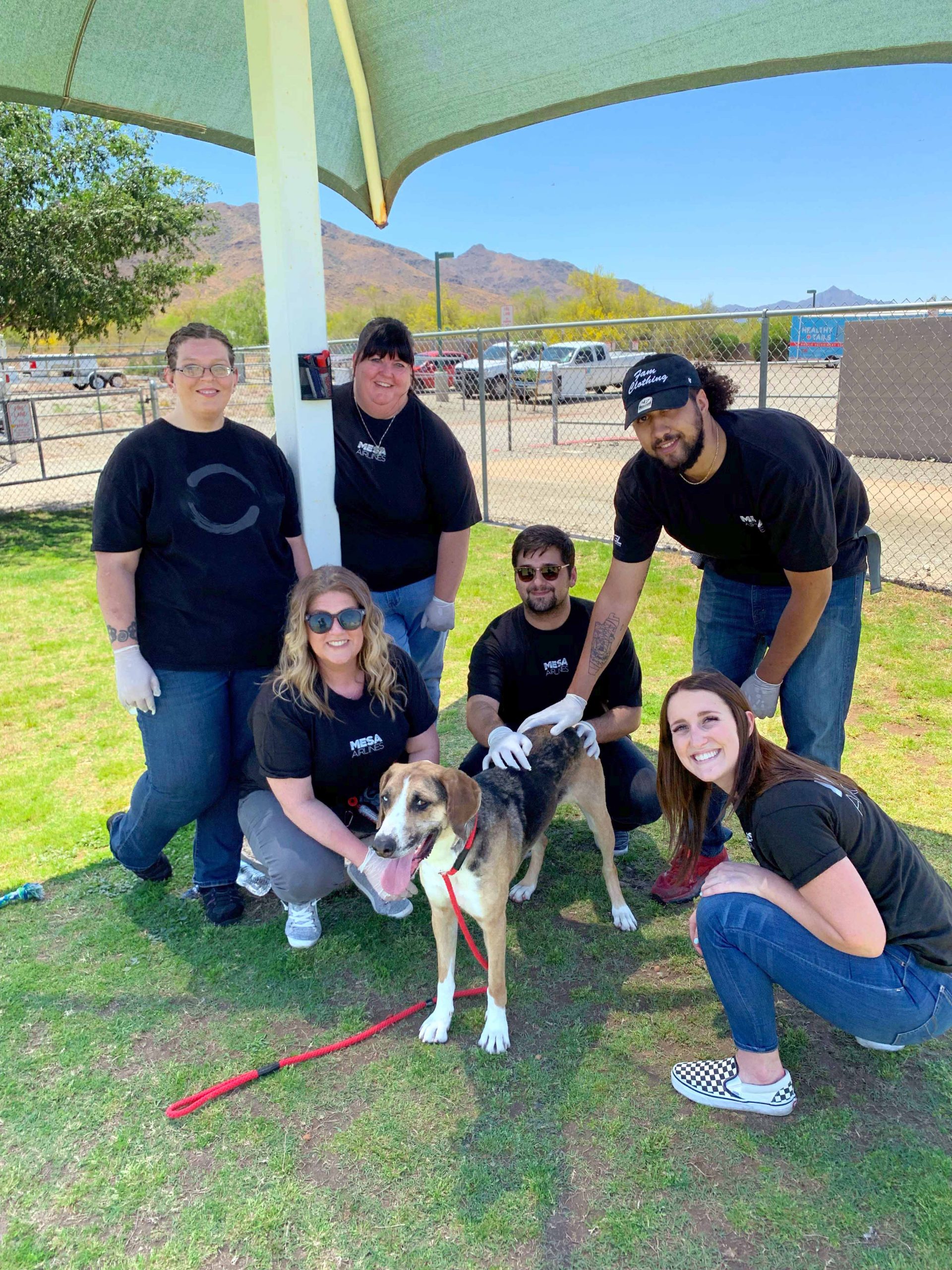 five volunteers posing with dog at a park