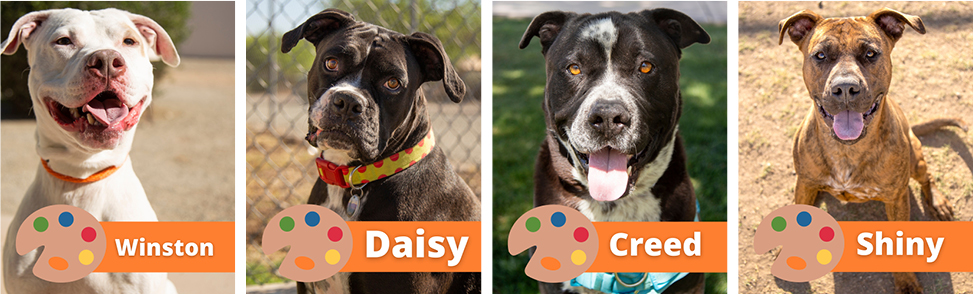 Excessive Heat Warning