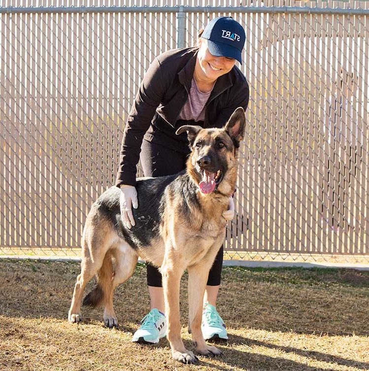 a volunteer pets a German shepherd on campus