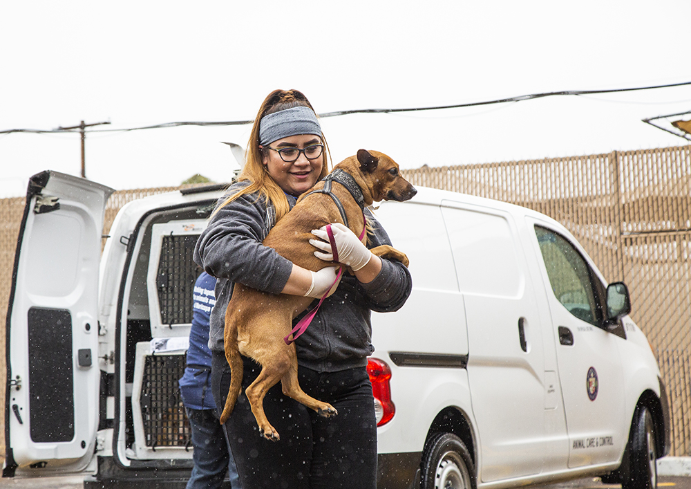 woman carrying dog from van