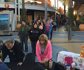 spay-day-etails-2-5-15