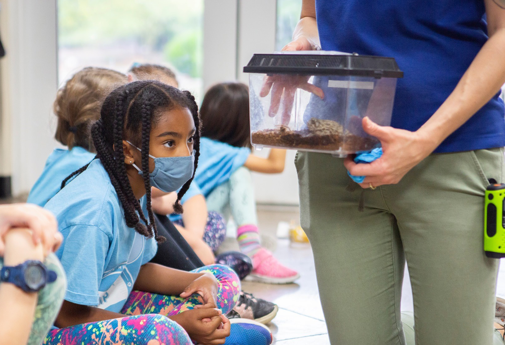 child looking at turtles