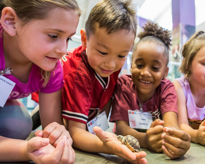 Summer Camp kids with tortoise