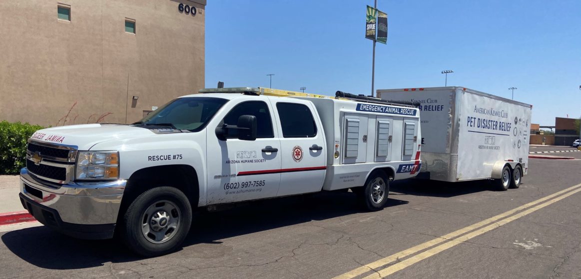 a pet emergency vehicle